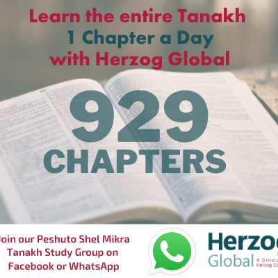 Learn 929 with Herzog Global