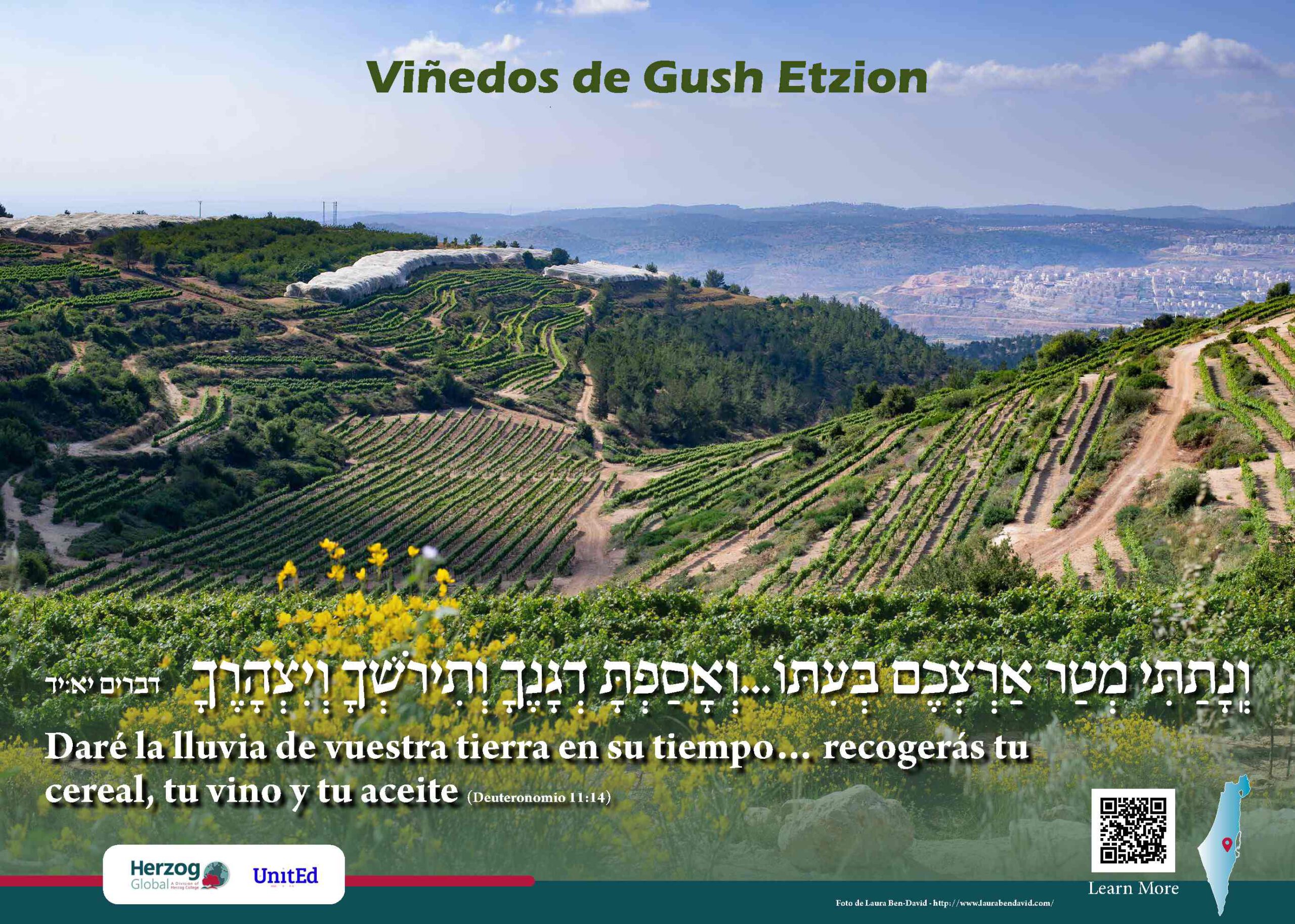 La agricultura en Israel y los viñedos de Gush Etzion - Imágenes de Israel<br />
- Herzog Global y UnitED<br />
