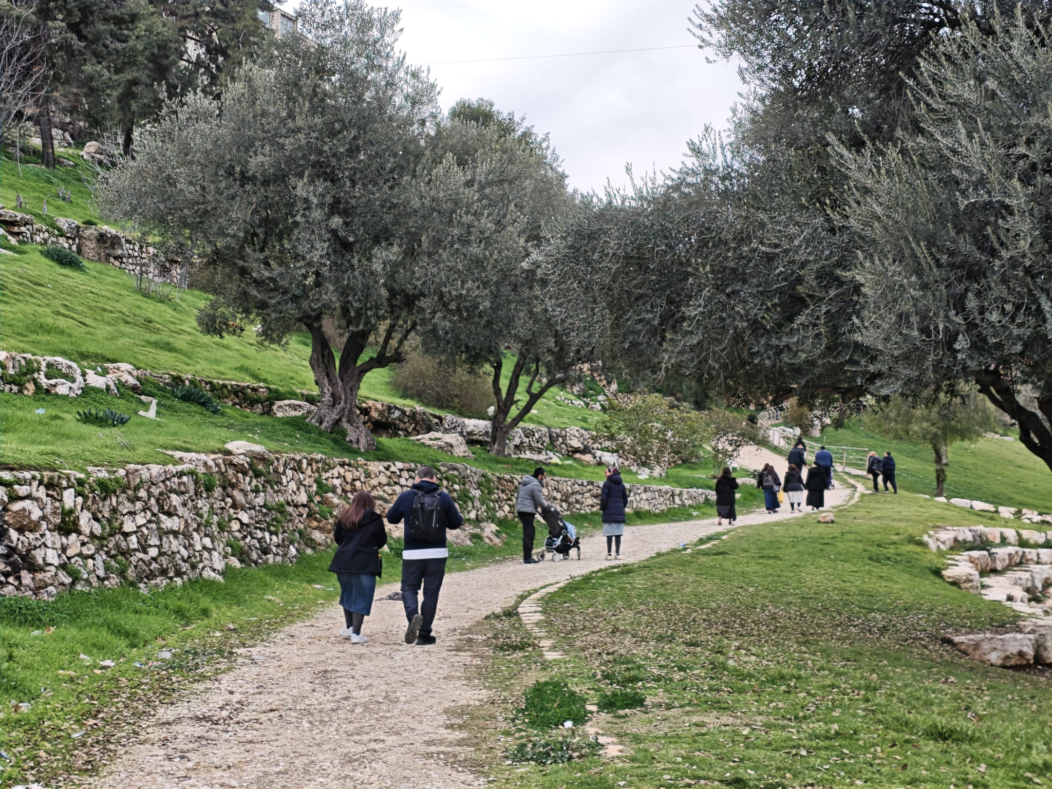 Herzog Rimonim Class